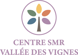 Centre SMR Vallée des Vignes